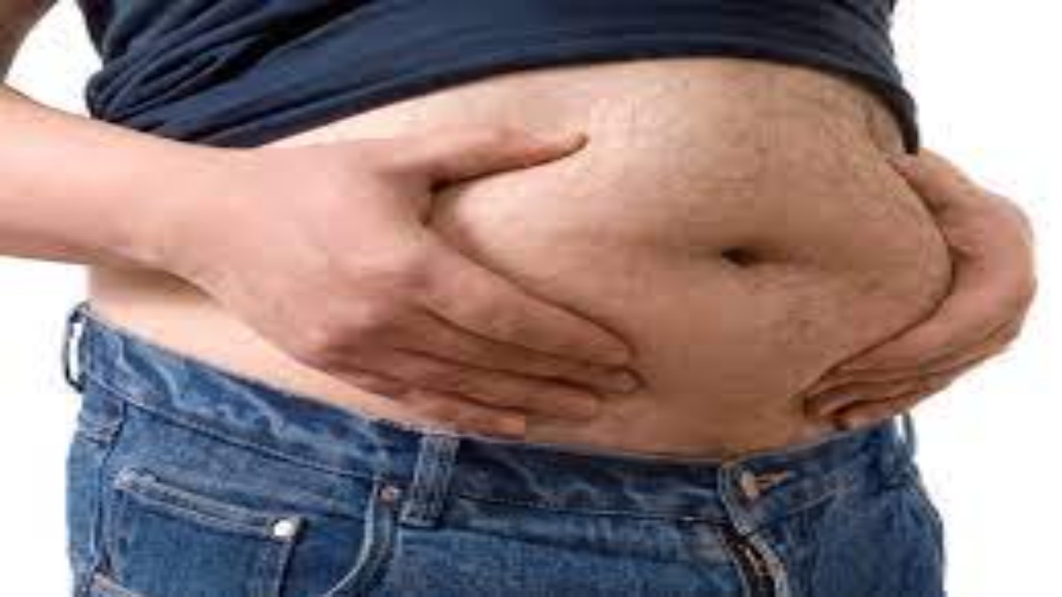 मोटापा नहीं रही एक गंभीर समस्या , नुकसान और उपाय।